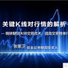 张紫卫 关键K线对行情的解析 期货实战培训课程（录音+讲义）