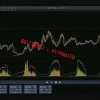 周冠良 正确错误盈利亏损实盘解析 期货实战培训视频课程