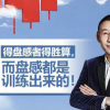 复旦求是操盘手赵昌运 盘感寻找交易信号建立模型 股票实战培训视频课程